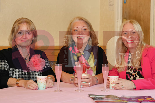 CIVIC MAYOR'S AFTERNOON TEA  (22).JPG