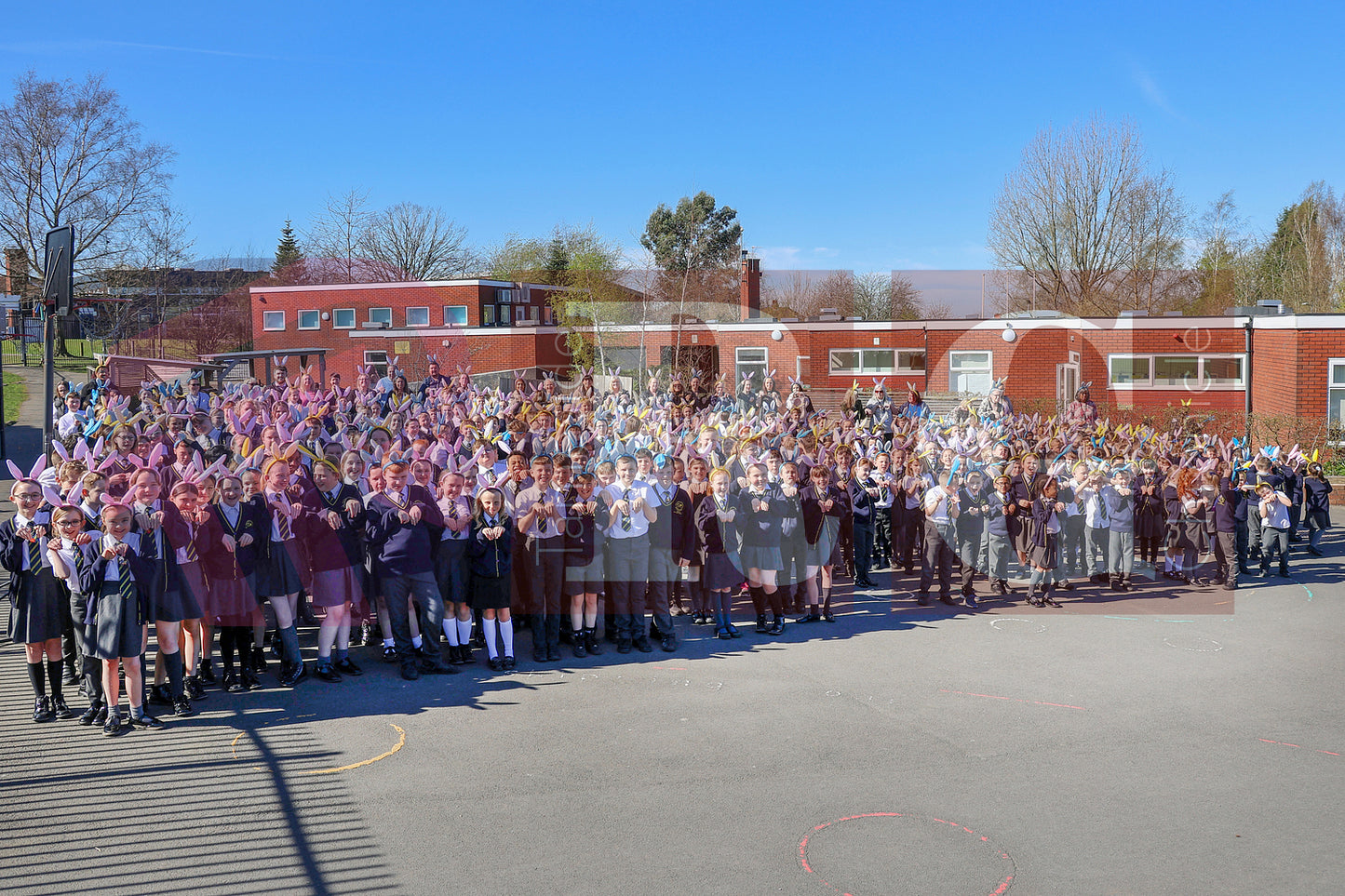 DOWSON PRIMARY BUNNY HOP WILLOW WOOD (3).JPG