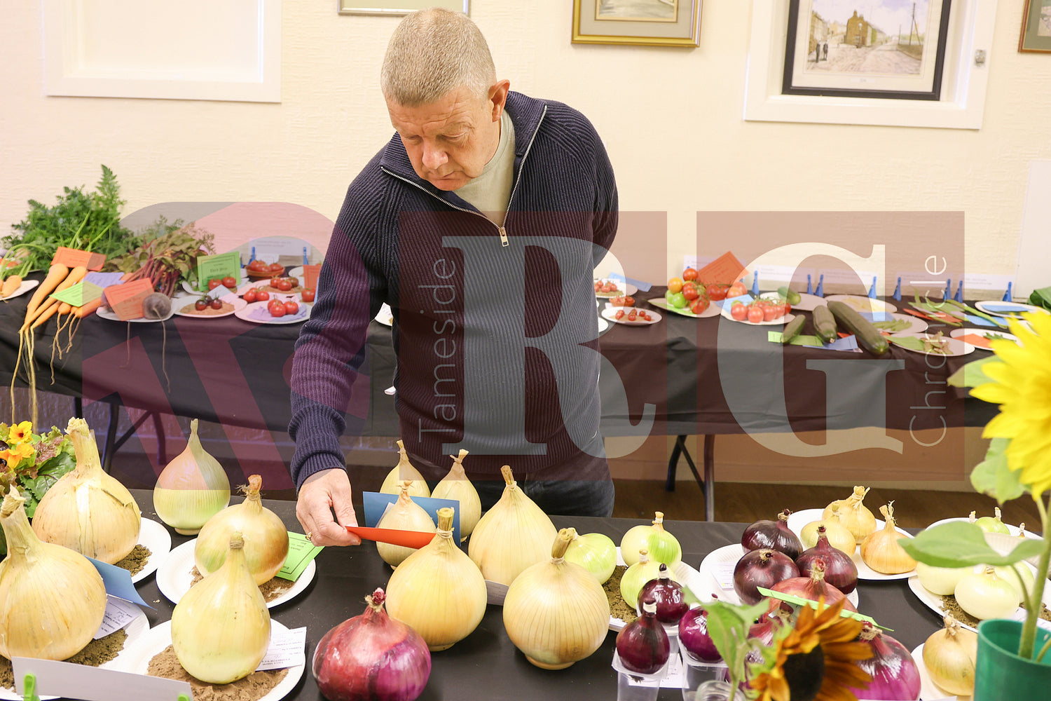 TINTWISTLE GARDENERS SHOW (31).JPG