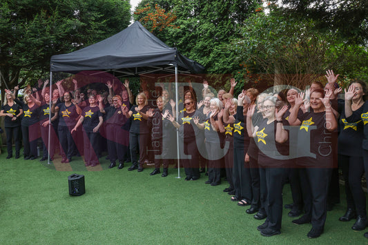 BRIDGE FEST 2025 (65).JPG